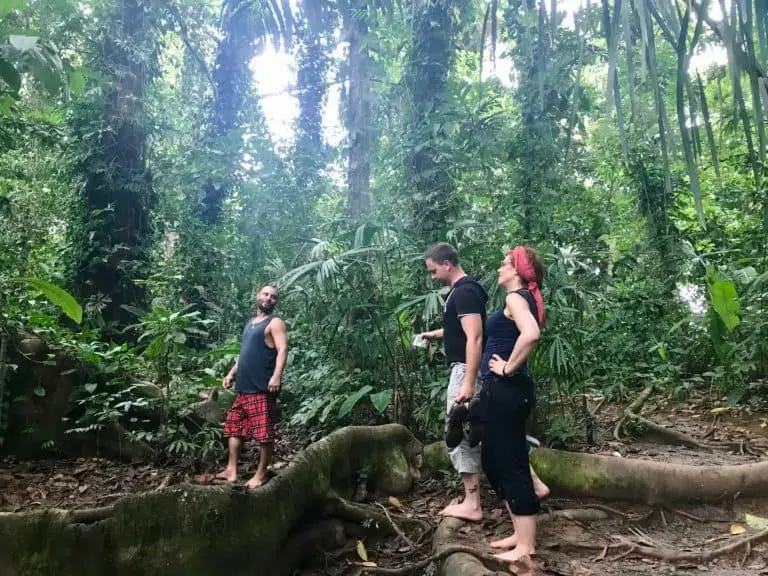 Urwaldtour